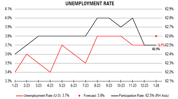 Unemployment Rate - January